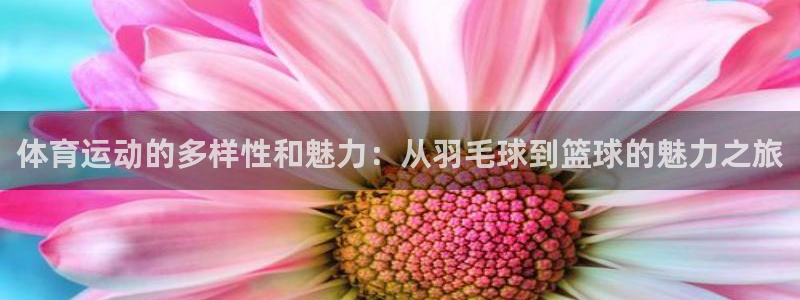 意昂体育注册登录入口