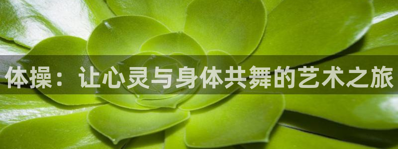 意昂3登陆
