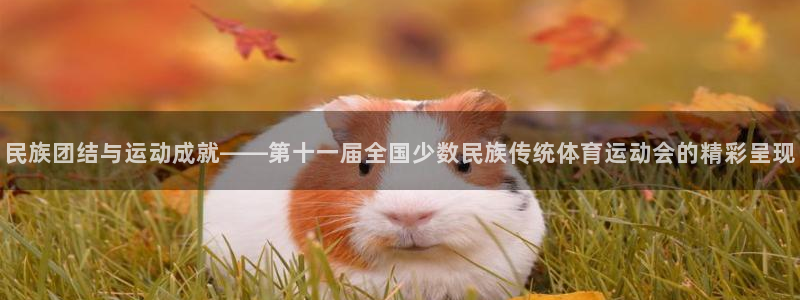 意昂2体育