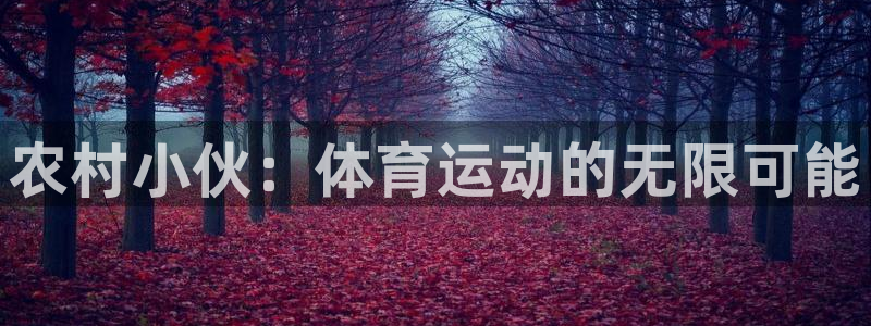 意昂平台招商