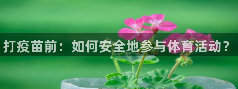 意昂体育老板是谁