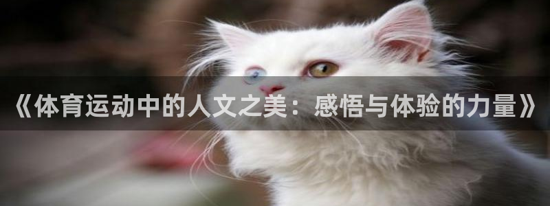 意昂主管