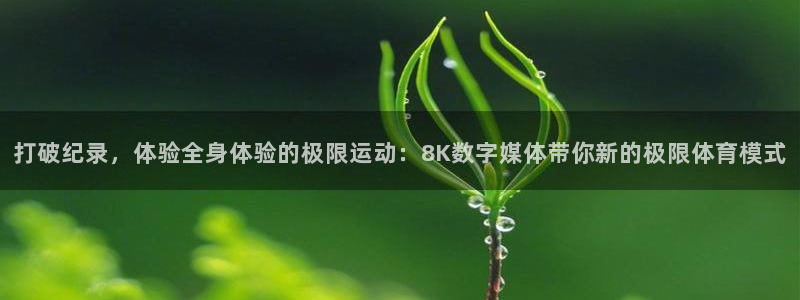 意昂体育平台总代理