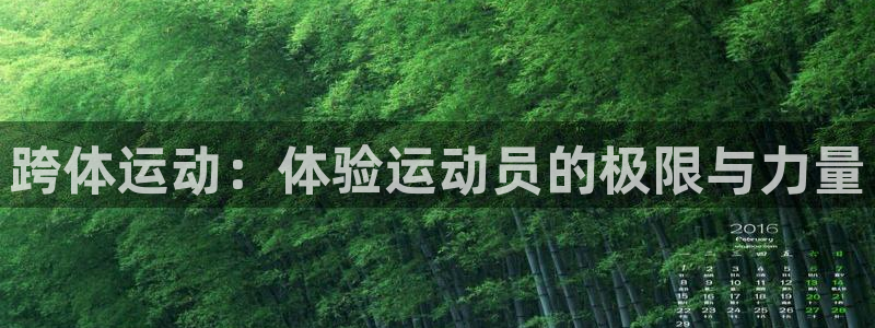 意昂体育热门赛事有哪些