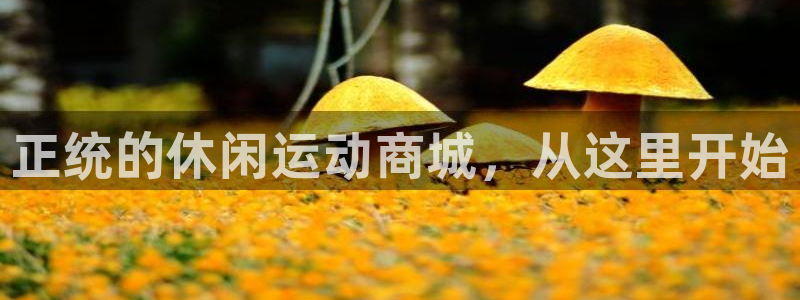 意昂2代理注册