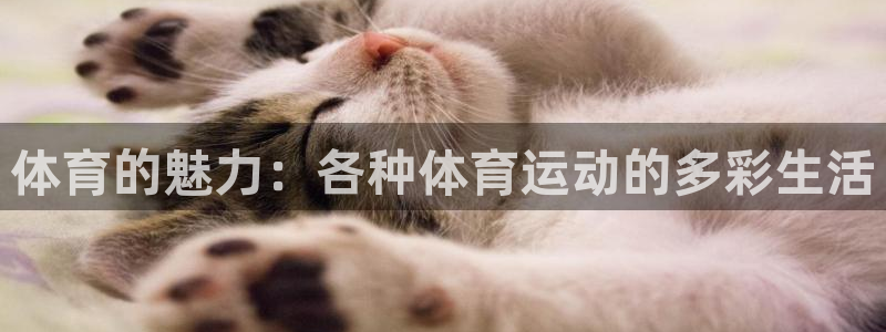 福建意昂机电股份公司