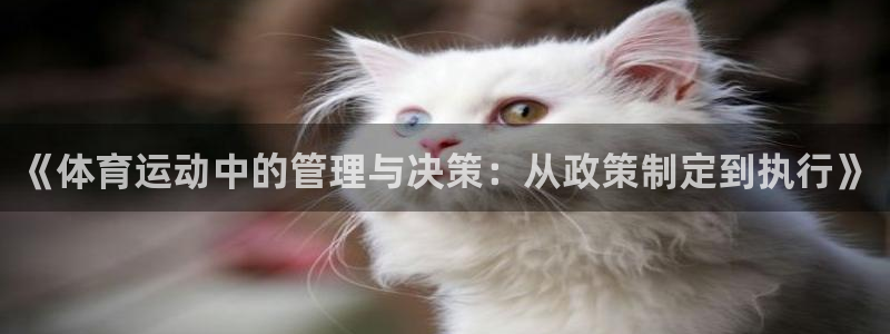 意昂体育凯捷平台注册