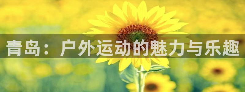 意昂体育1招商