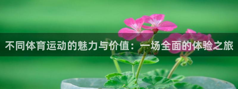 意昂体育官网入口登录